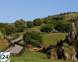 El parque de Cabárceno rompe récords en 2023, recibiendo a un impresionante número de visitantes: 670.000 y cada vez sumando más.
