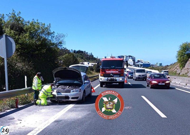 Rescatan gato atrapado en árbol y controlan incendio de coche en la A-8, Ontón y Puente Viesgo.