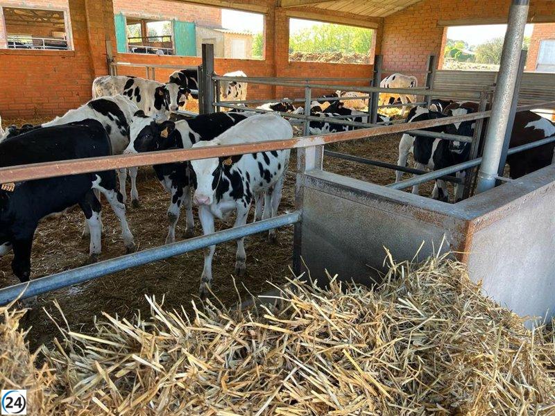 El Gobierno destina 3 millones de euros en ayudas de emergencia al sector ganadero y amplía medidas de apoyo.