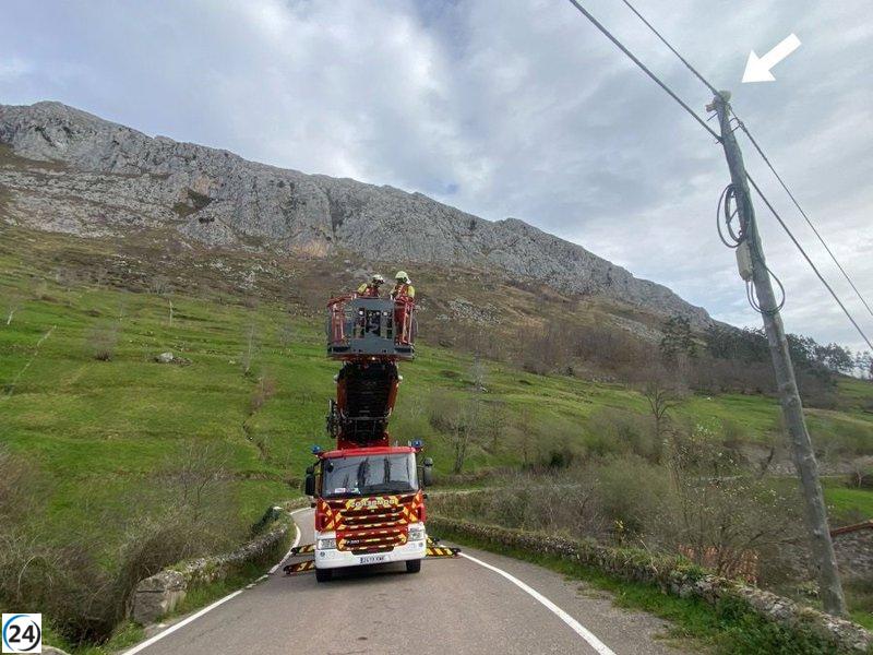 Bomberos salvan a un gato atrapado en un poste en Lamasón tras dos días de angustia.