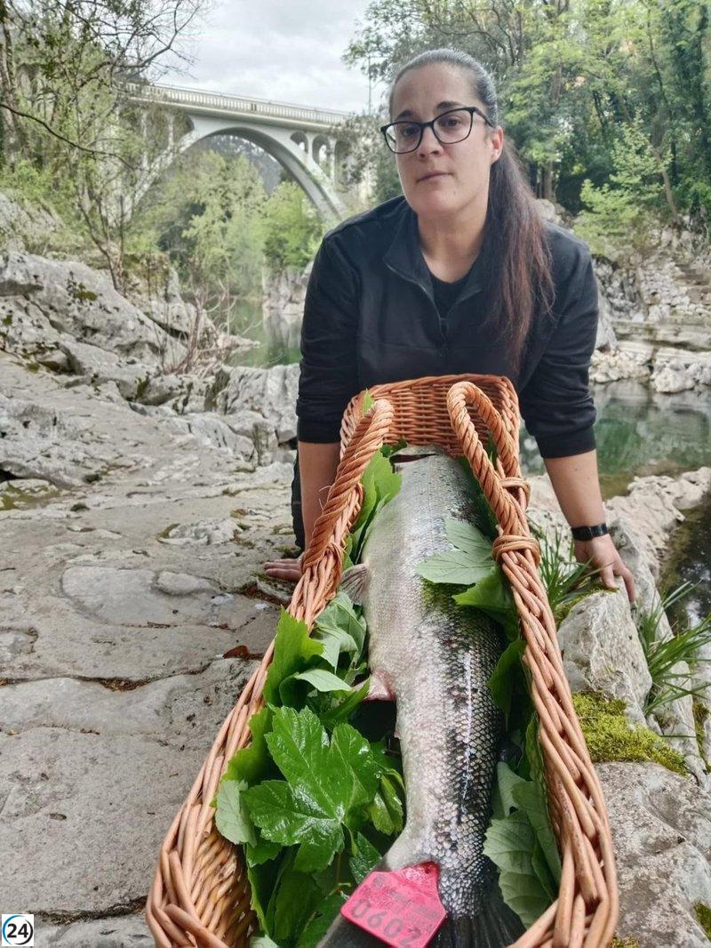 Pescadora de Ramales atrapa un 'campanu' de 5,3 kilos en el río Pas.