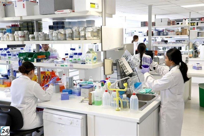 IDIVAL y UC crean quimioterapia personalizada que combate tumores preservando tejidos saludables.