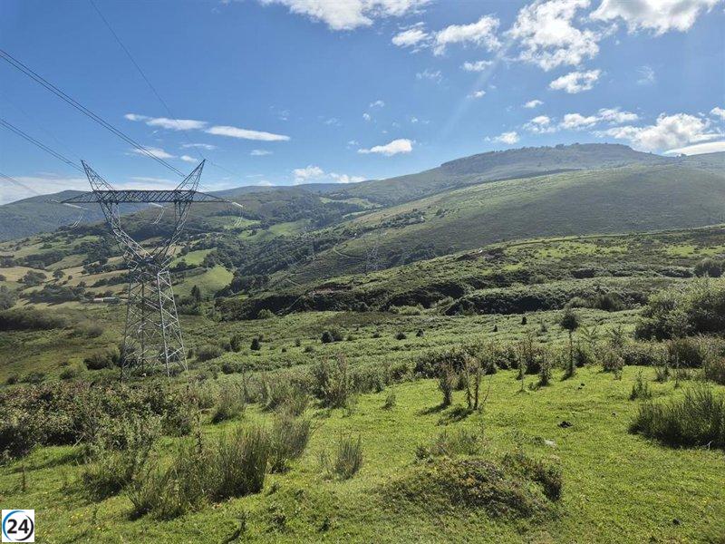 Investigación de la UC concluye que el parque eólico El Escudo no afecta significativamente las turberas.