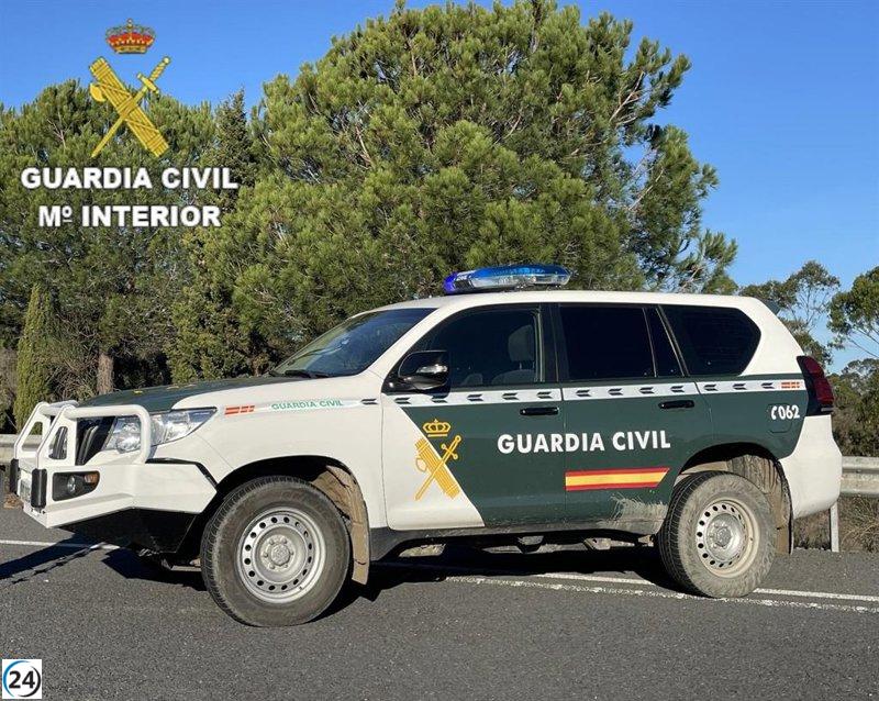 Desalojo masivo en la cantera de Roiz: 146 personas y 34 vehículos abandonan la rave ilegal.
