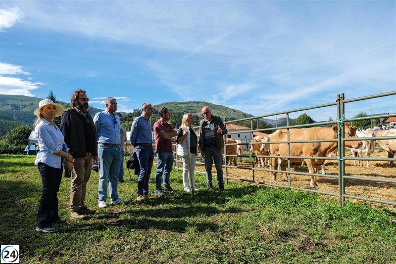 Riotuerto alberga una masiva concentración de 900 cabezas de ganado.