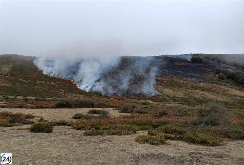 Controlada la conflagración en el bosque de Valdeprado del Río.
