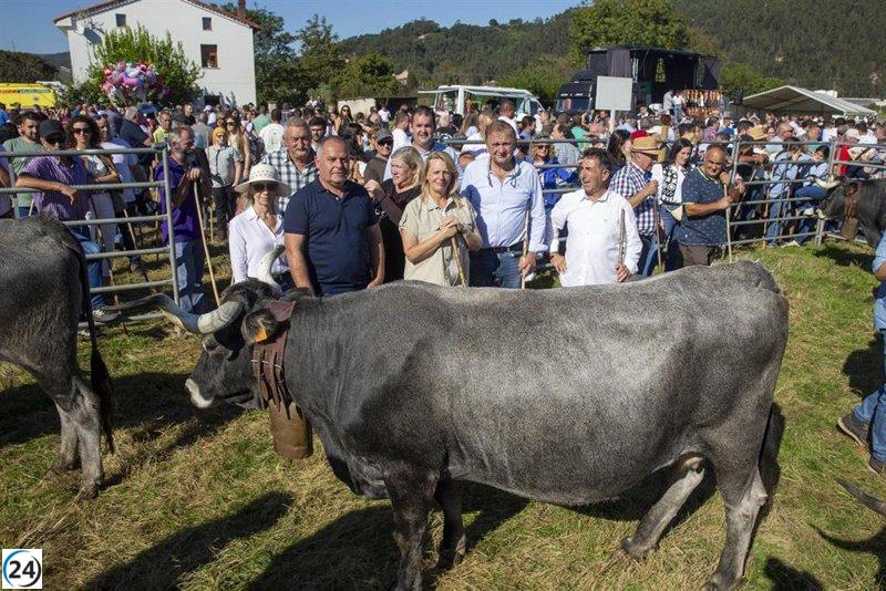 Susinos aplaude el gran triunfo de la Olimpiada del Tudanco, un evento que atrae a miles a Cabezón de la Sal.
