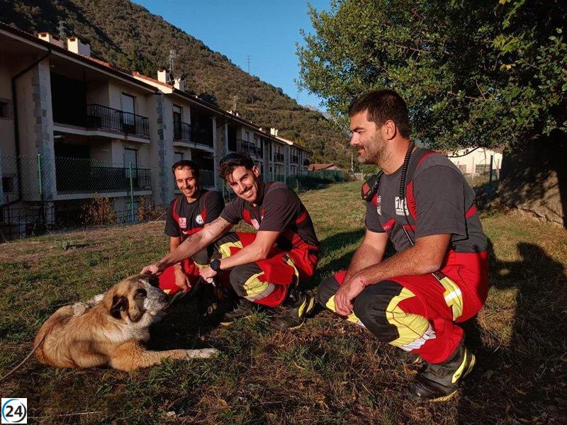 Perro salvado de las aguas del río en Potes.