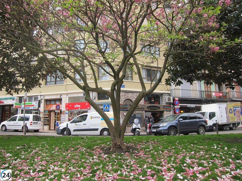 Santander arranca hoy su campaña anual para el cuidado de los árboles.