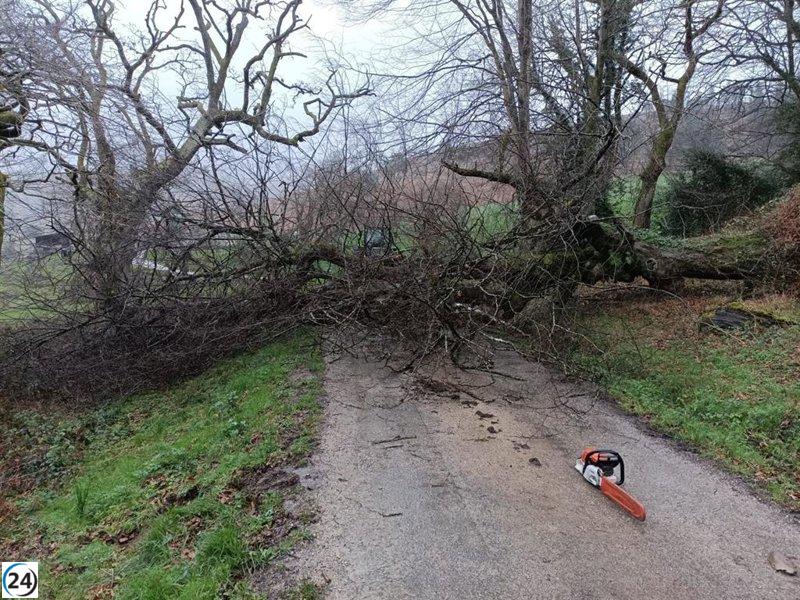 El servicio de emergencias 112 atiende 80 llamadas y maneja 34 situaciones por viento y condiciones marítimas adversas.