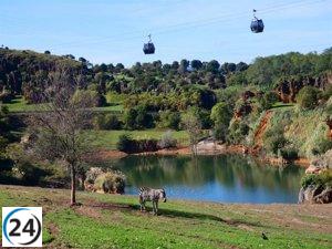 Récord histórico en Cabárceno, Fuente Dé y El Soplao durante Semana Santa con la visita de más de 67.000 personas, una clara muestra del interés por el turismo cercano y sostenible.