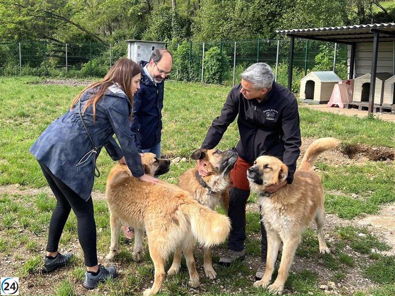 Zuloaga impulsa nueva ley de bienestar animal en Cantabria.