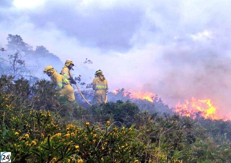 Medidas urgentes en Cantabria: se prohíbe rotundamente la quema de cualquier tipo por altísimo riesgo de incendios forestales.