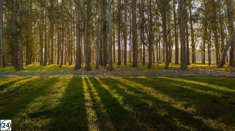Ence adquiere 3.300 hectáreas forestales de Sniace en Cantabria, ampliando su patrimonio