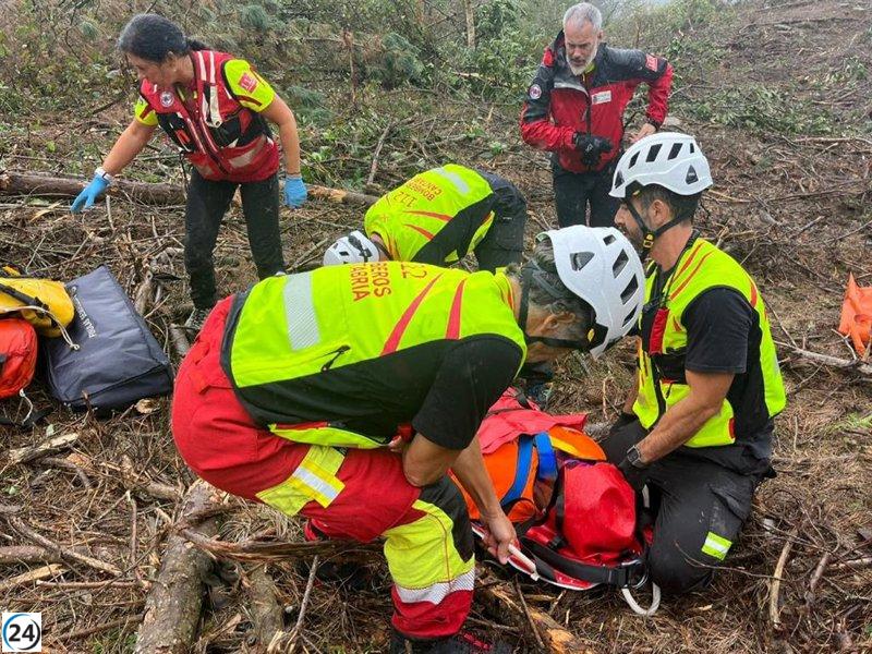 Trabajador forestal herido en el pico Cotillo (Anivas) es evacuado por accidente