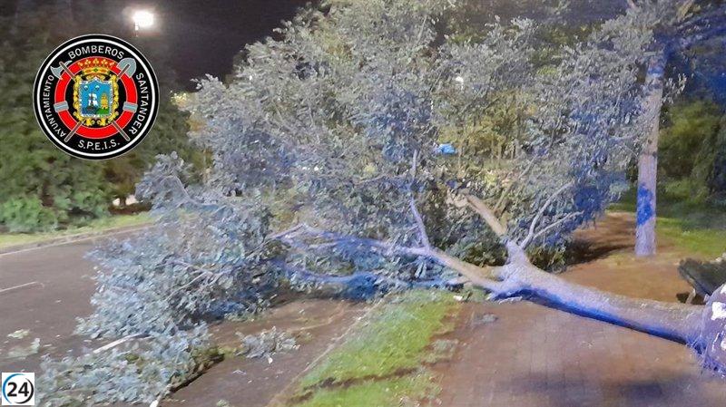 Santander se ve azotado por el viento, generando 27 emergencias atendidas por los servicios de socorro.