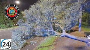 Santander se ve azotado por el viento, generando 27 emergencias atendidas por los servicios de socorro.