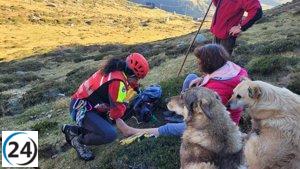 Helicóptero rescató a una ganadera herida mientras buscaba ganado en Alto Campoo