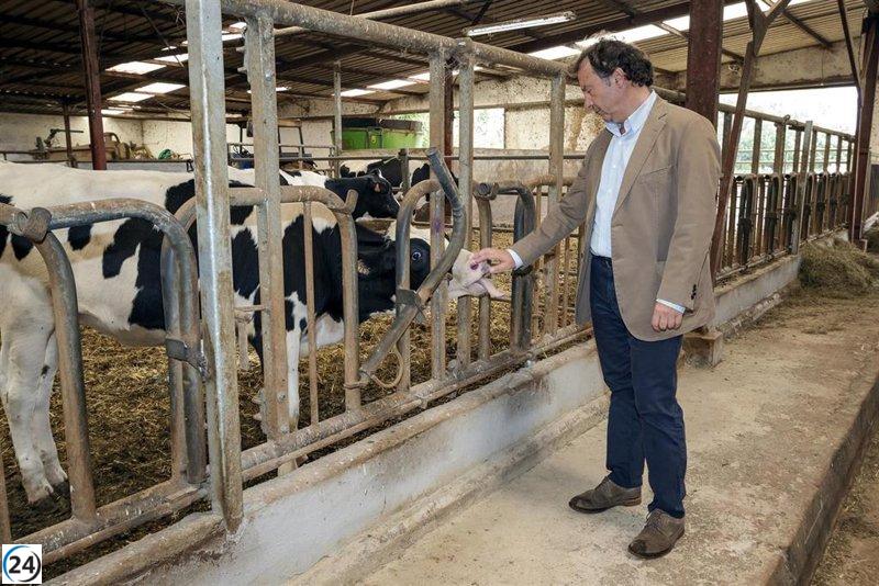 Los ganaderos de Cantabria recibirán las ayudas de la PAC antes de fin de año, según el Gobierno Regional.