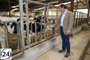 Los ganaderos de Cantabria recibirán las ayudas de la PAC antes de fin de año, según el Gobierno Regional.
