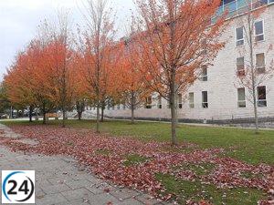 Condeman a mujer por ingresar sin permiso al hogar de la pareja del exesposo con el fin de ver a sus hijos y recibe sentencia de seis meses de prisión.