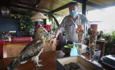 Observa las aves en la playa de La Concha