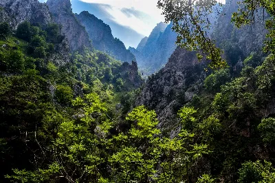 Disfruta de la naturaleza en los Picos de Europa