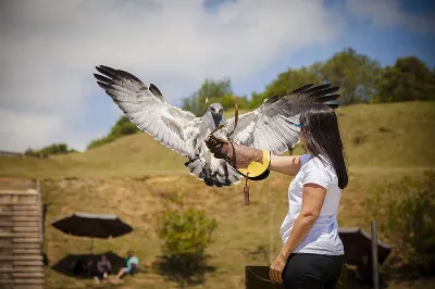El Parque de la Naturaleza de Cabárceno: una experiencia única