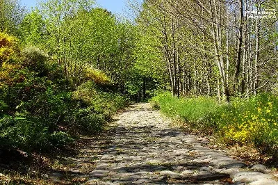 La Calzada Romana de los Blendios: vestigios de la antigua Roma en Cantabria