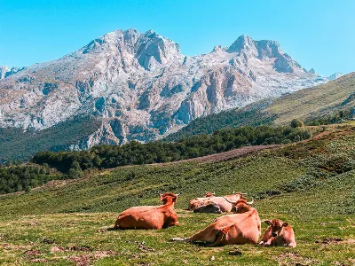 La Ermita de la Virgen de la Peña en Fuente Dé: una visita imprescindible en los Picos de Europa