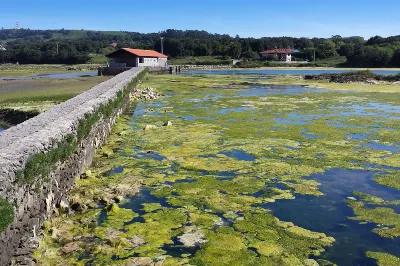 El Parque Natural de las Marismas de Joyel
