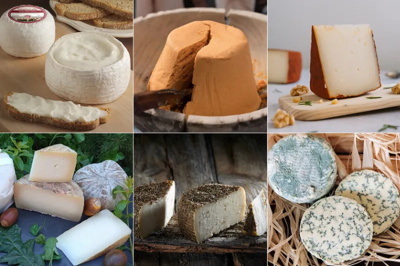 Los famosos quesos de Cantabria: ideales para cualquier ocasión