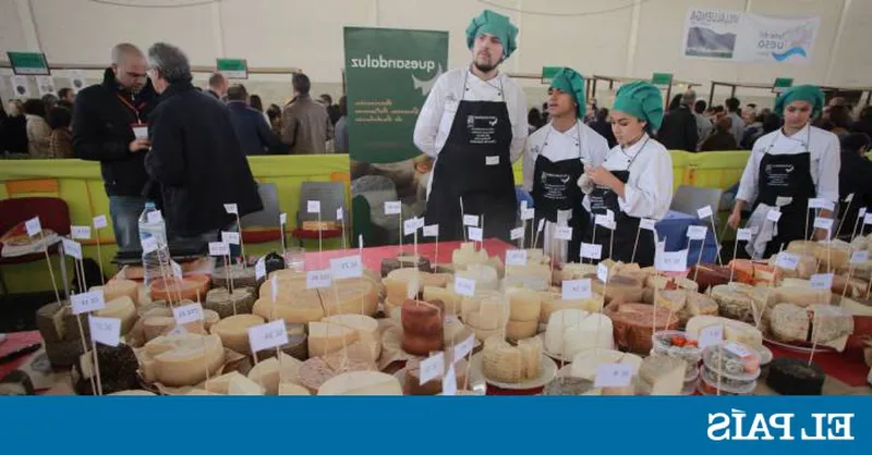 Aprovecha la 'feria del queso' y disfruta de variedades únicas
