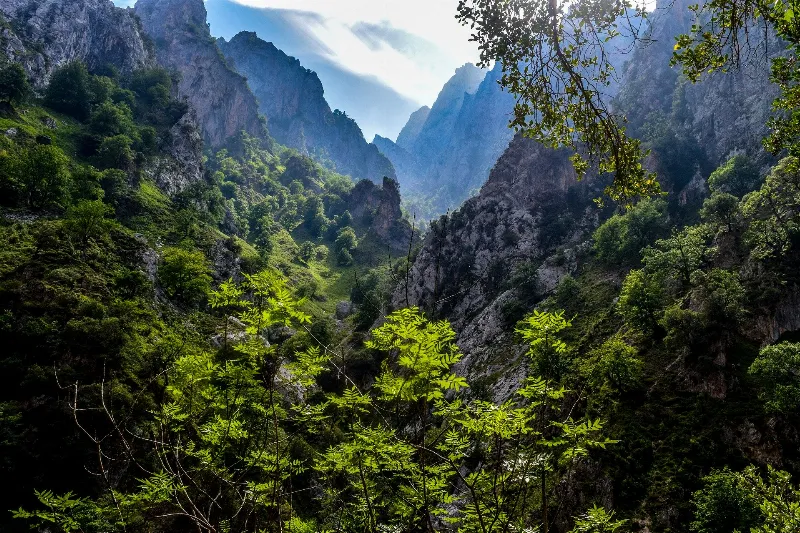Disfruta de la naturaleza en los Picos de Europa