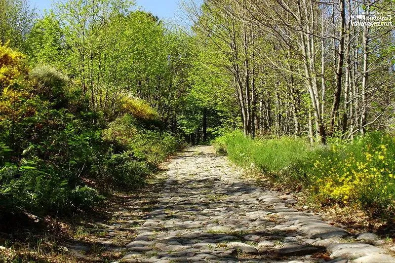 La Calzada Romana de los Blendios: vestigios de la antigua Roma en Cantabria