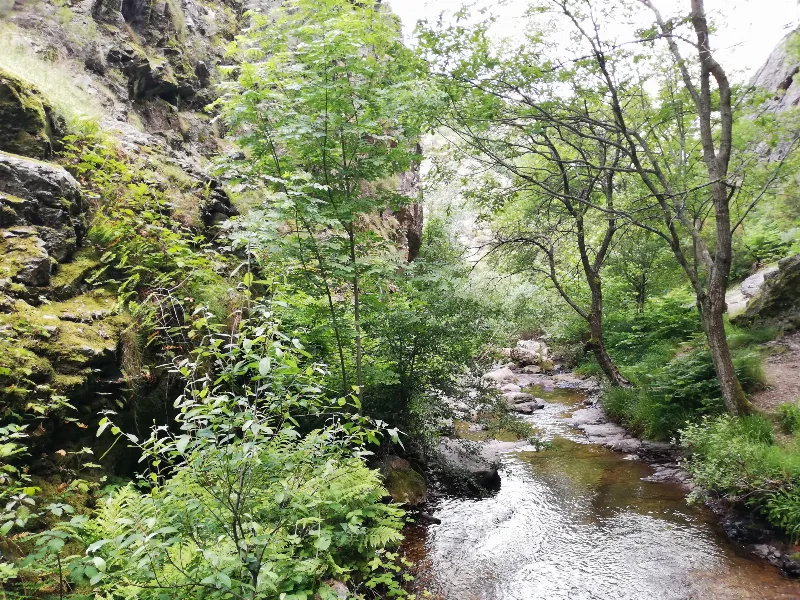 La Cascada de Nocedo en el Valle de Liébana