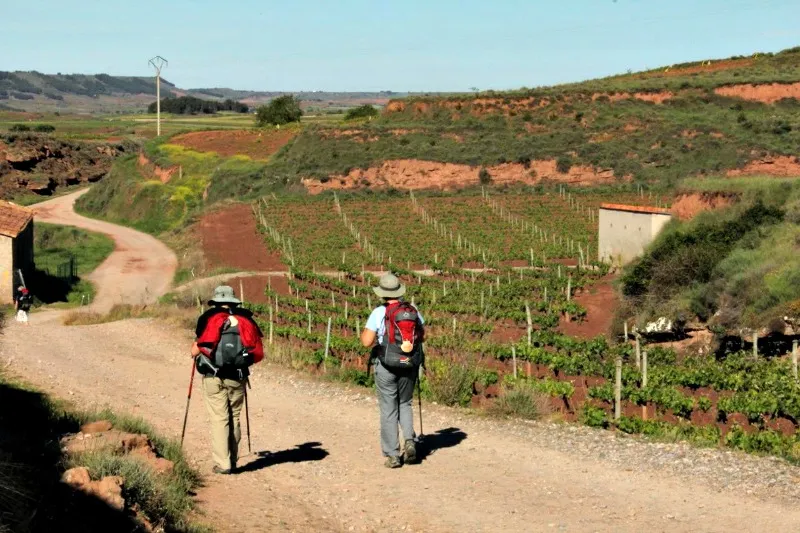Disfrutando del Camino de Santiago en Cantabria con amigos